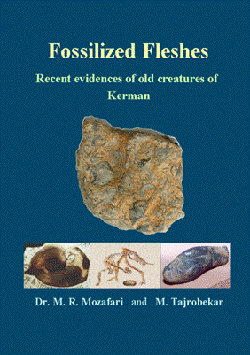 Image for Fossilized Fleshes - Recent evidences of old creatures of Kerman
