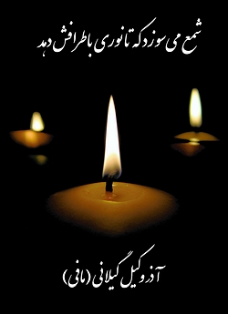 Image for The Candle Burns (Poems)